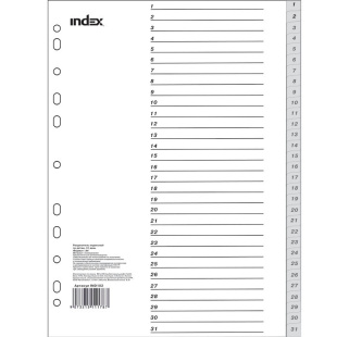 Разделитель пластиковый INDEX 31 день