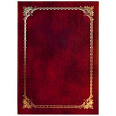 Папка ХУДОЖЕСТВЕННАЯ РАМКА №3, бумвинил, ф. А4